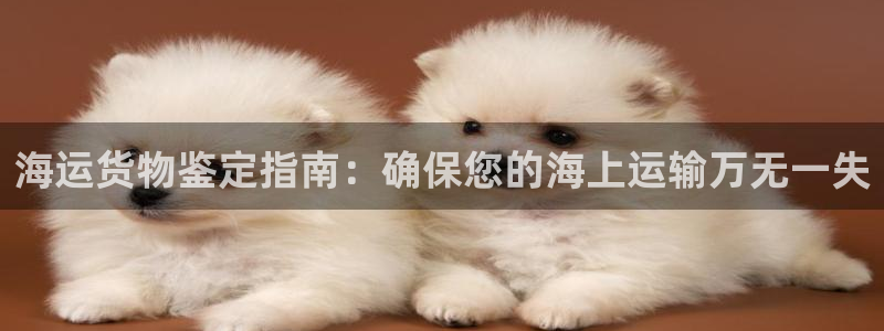710公海赌赌船有总代理吗