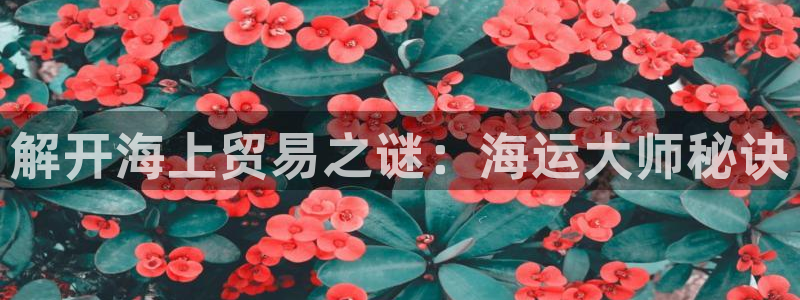 欢迎你来到公主的海岛