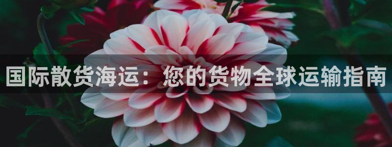 公海赌赌船官网真的吗