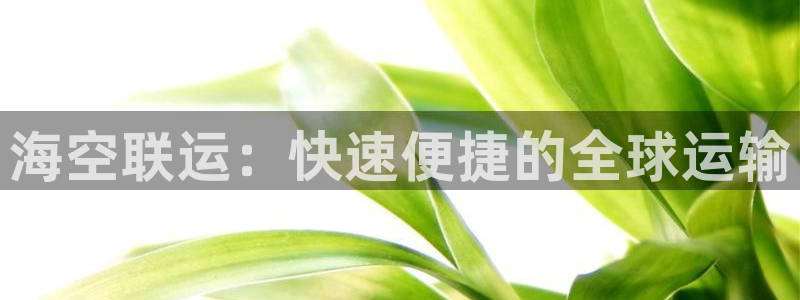 在公海赌博犯法吗