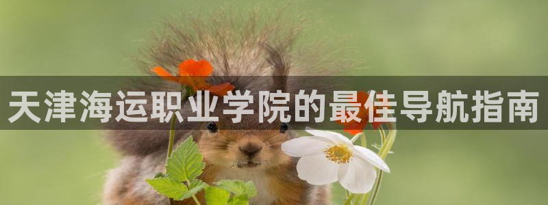 欢迎上船