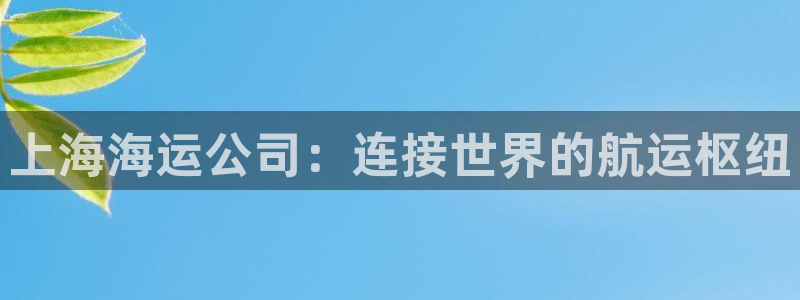 欢迎来到公海