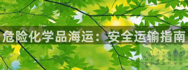 公海赌赌船系统维护要多久