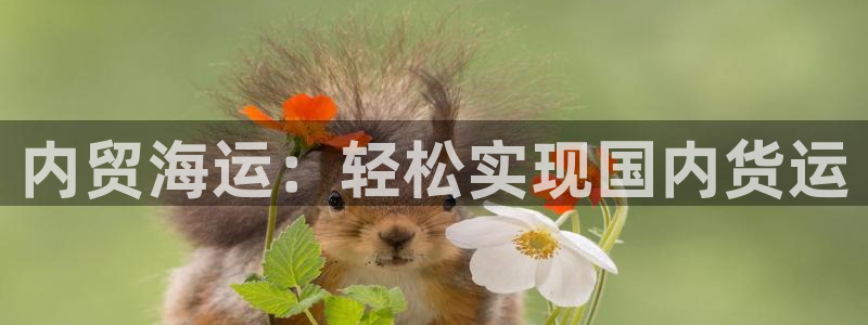 公海赌赌船快速充值