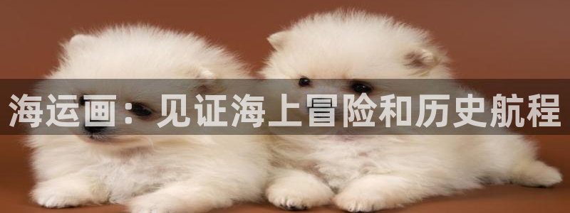 公海赌赌船最新版本更新内容