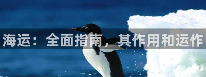 欢迎来到公海欢迎来到赌船