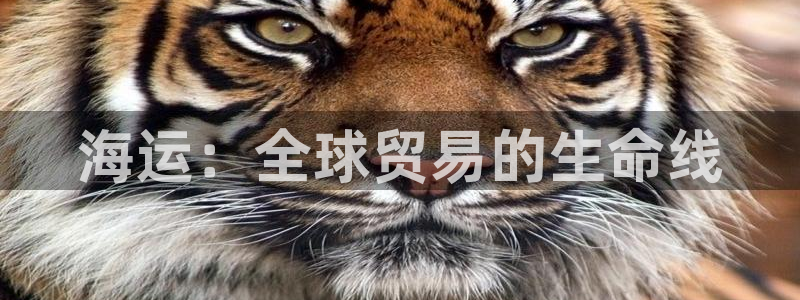 欢迎来到公海手机版710