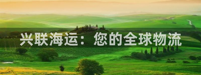 公海赌赌船官网