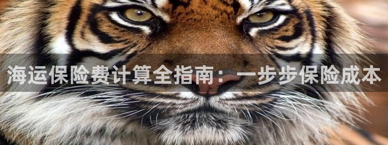 公海赌赌船快速充值